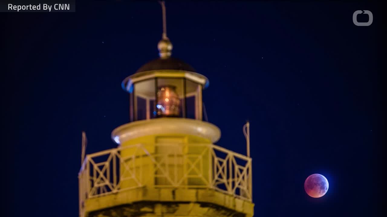 Super Blood Wolf Moon Delights