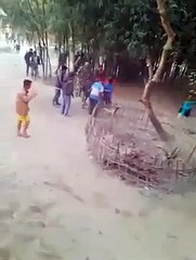 Un rhinocéros complètement fou attaque des villageois en Inde !