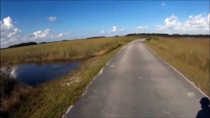 Un cycliste croit voir une branche sur la route mais il se trompe...