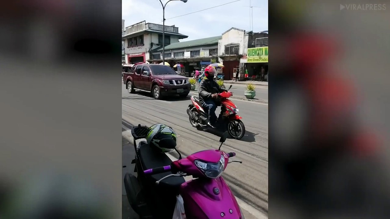 Chó mẹ cầu cứu người đi đường khi con nó bị xe tông