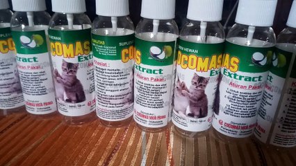 [AGEN] Obat Jamur Kucing, 0821 3543 9895