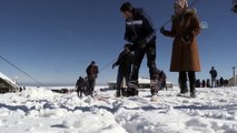 Güneydoğulu öğrencilerin karne hediyesi: Kayak - ŞANLIURFA