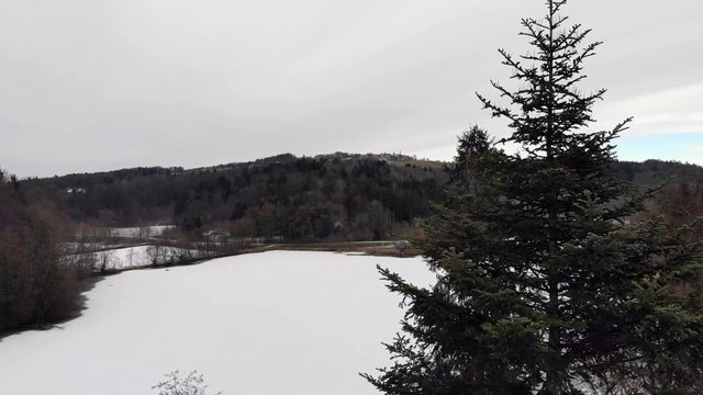 DJI Mavic Air | Forest Landscape - 4K | Drone/Quadcopter Footage