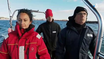 Hérault  les herbiers de Posidonies en fleurs au large d'Agde