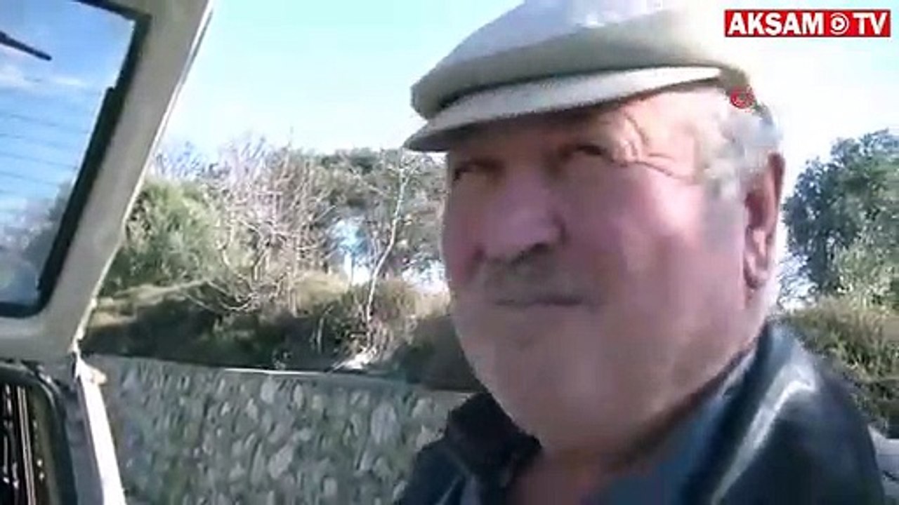 Hastalanan buzağıyı otomobili ile veterinere götürdü
