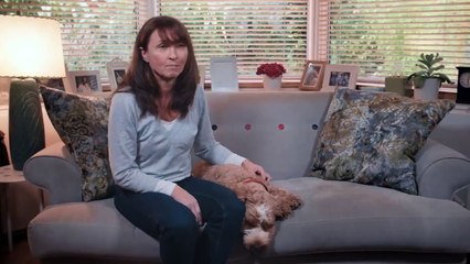 Ford dévoile une niche insonorisée ultra-moderne pour votre chien à l'ouïe hyper sensible