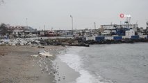 Marmara'da Deniz Ulaşımına Poyraz Engeli