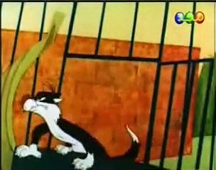 تويتي ٤ اسلامي محافظ بدون موسيقى