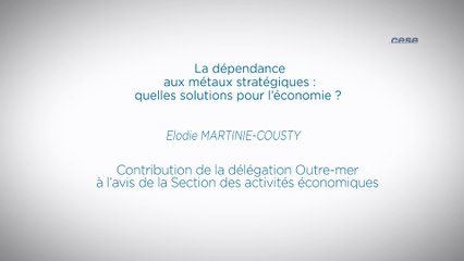 La dépendance aux métaux stratégiques, contribution de la délégation OM - cese