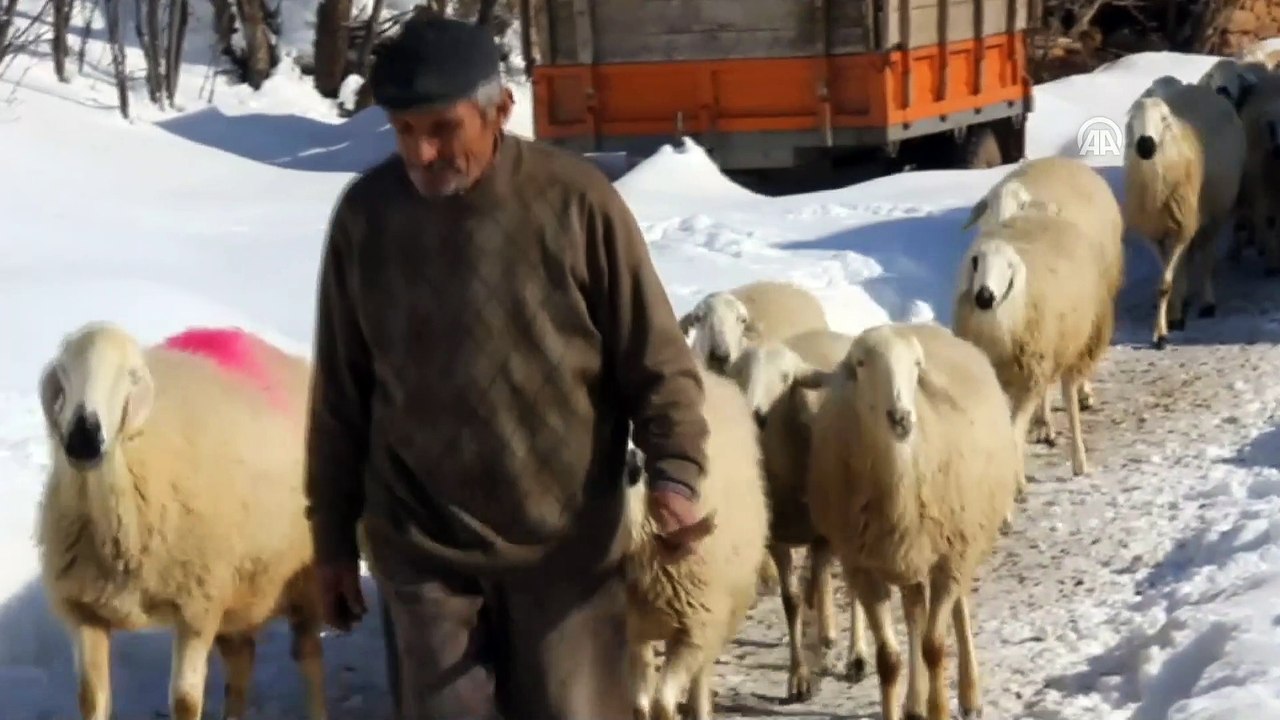 Köylülerin yoğun kış şartlarıyla imtihanı - SİVAS