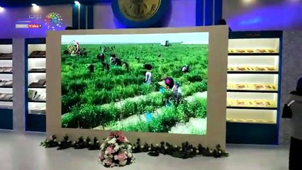 "شخصيات عسكرية" أبرز مقتنيات وزارة الدفاع بمعرض الكتاب