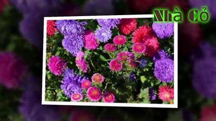 Audio Đam mỹ [Chương 6 - 10] Cuộc Sống Nhàn Nhã Của Nhạc Tư Trà