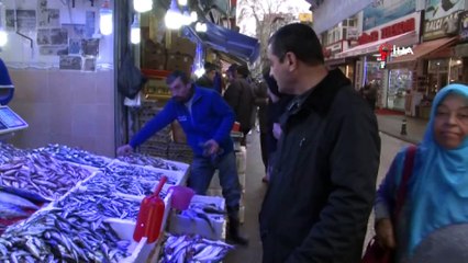 Karadeniz’de istavrit bolluğu