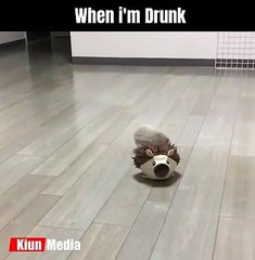 When i am fully Drunk Hahaha lol Funny Meme