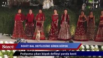 Rohit Bal defilesine giren köpek