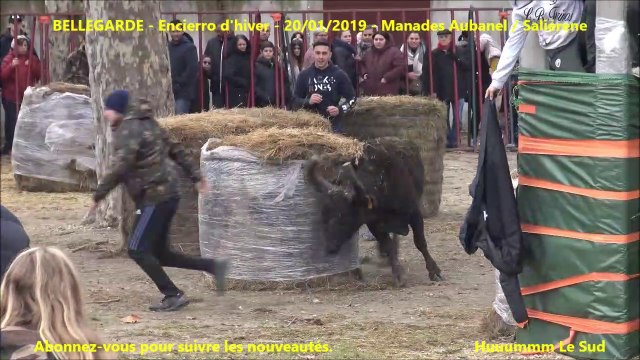 BELLEGARDE-Encierro d'hiver-20-01-2019-Course au plan