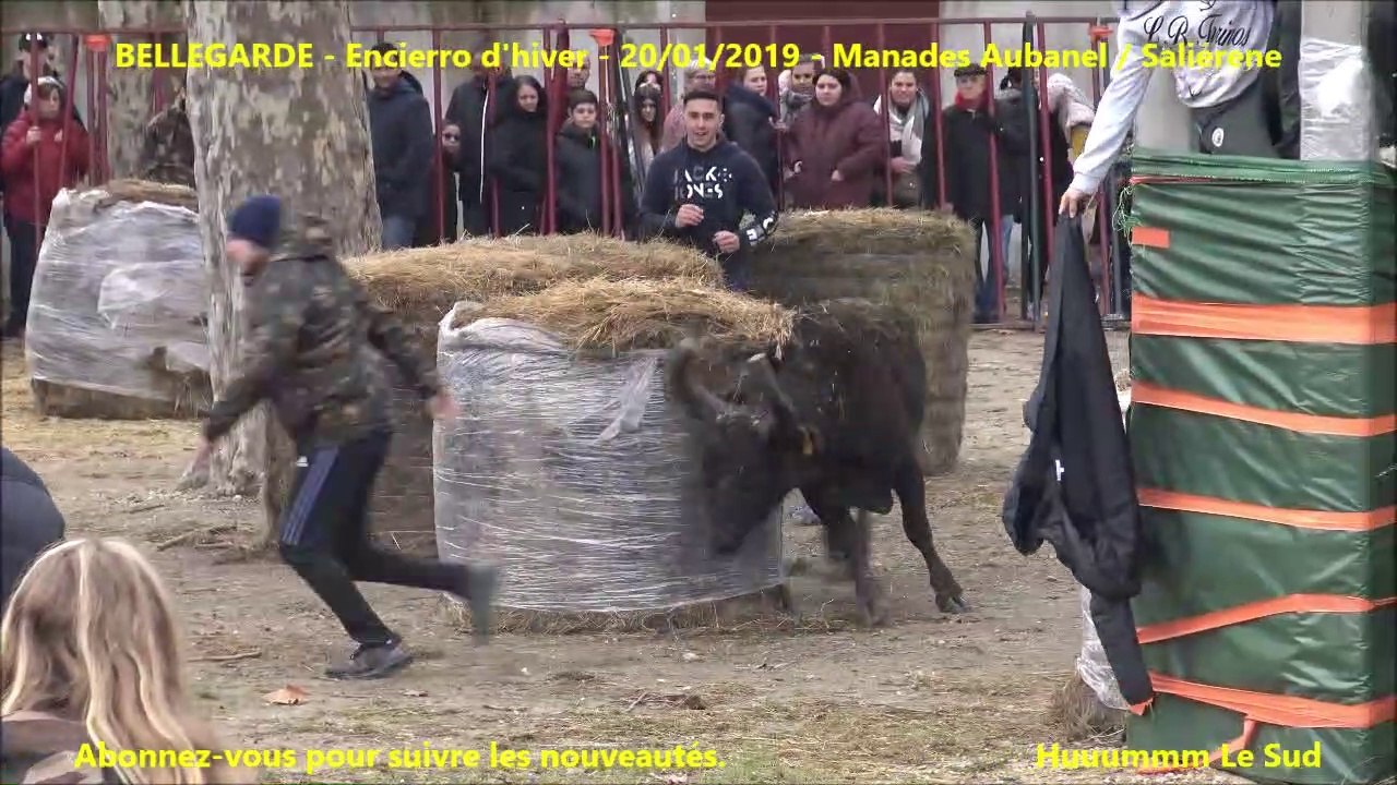 BELLEGARDE-Encierro d'hiver-20-01-2019-Course au plan