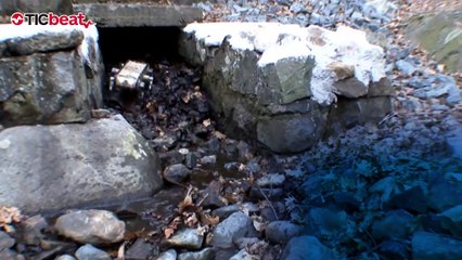 ¿Qué es Bio-Bots?