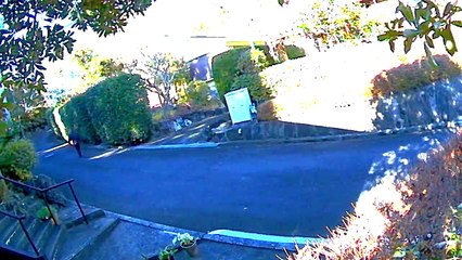 EDR January #22 2019 Noise Campaign Scaffolding Sites