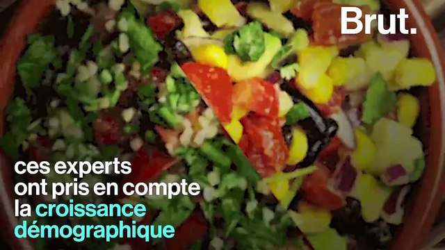 Un steak par semaine, plus de fruits et légumes... Voici le menu qui devrait permettre de nourrir l'humanité en 2050