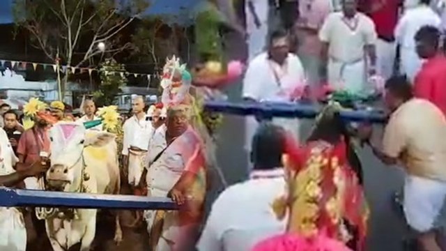 Locking horns over the bulls