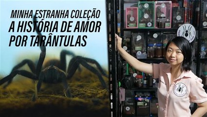 Você tem aracnofobia? Então este vídeo não é para você!