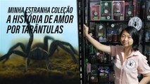 Você tem aracnofobia? Então este vídeo não é para você!