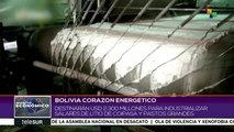 Bolivia destinará 2,300 mdd para industrializar salares de litio