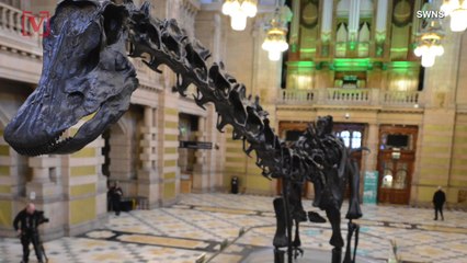 A Massive Dino Named ‘Dippy’ is Going Up on Display in Scotland