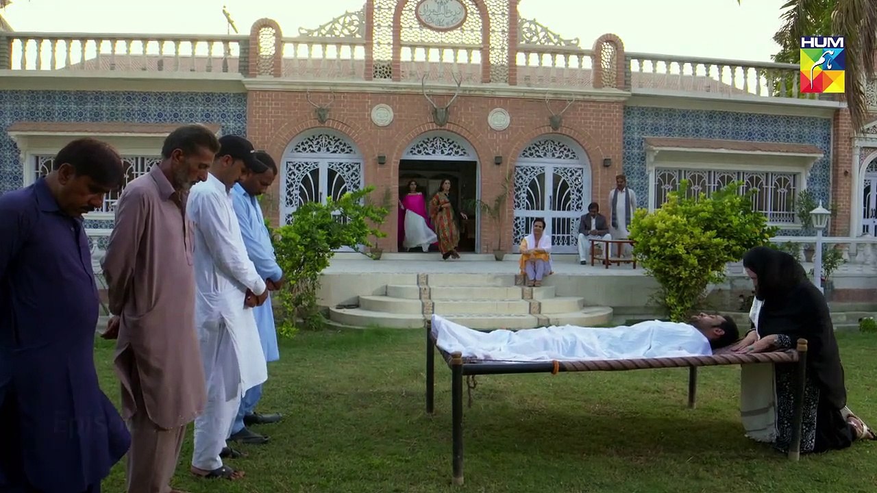 Bisaat e Dil Epi 26 HUM TV Drama 22 January 2019