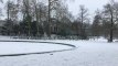 Bruxelles sous la neige ce mardi 22 janvier 2019. Parc de Bruxelles et Palais Royal (Vidéo EG)