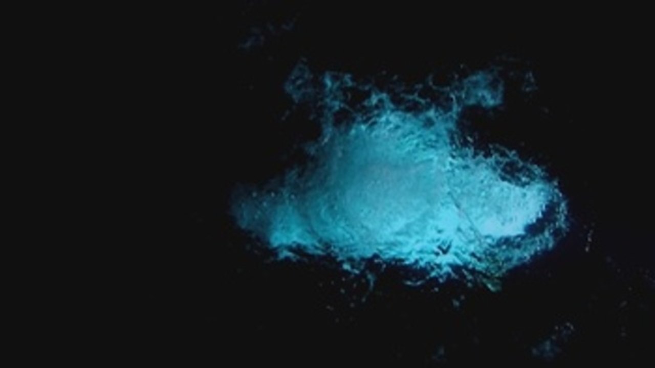 Bill Viola y Miguel Ángel 'conversan' sobre la vida con sus obras en Londres