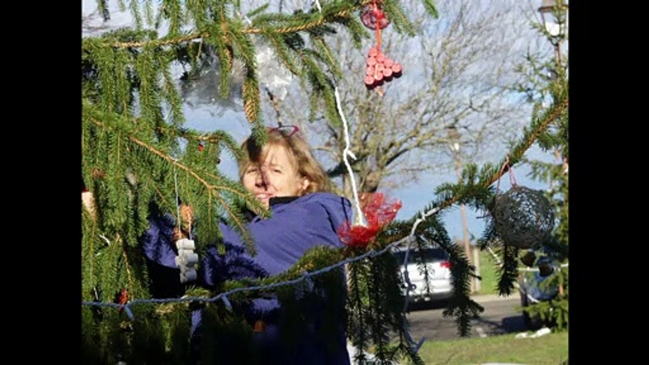 Installation des décors de Noël 2018