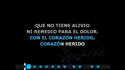 CORAZON HERIDO - Chebere (karaoke)