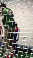 Kamran Akmal warming up with machine pitch at the CricZone Sports Dallas