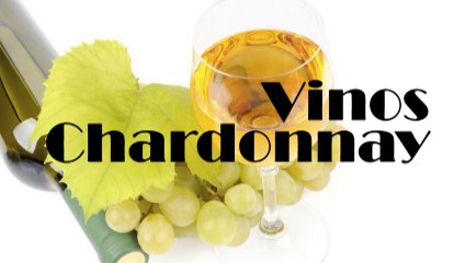 Vinos Chardonnay junto a Jose Elarba