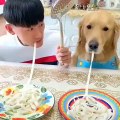 Un homme et un chien font un concours de pâtes.