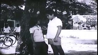 Sơn Ca Trong Thành Phố Full | Phim Việt Nam Cũ Đặc Sắc part 1/2