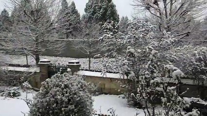 Première neige 2019  à Auxerre