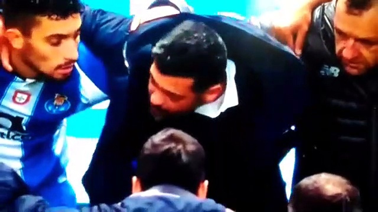 video-1548194529