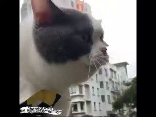 Eve Sarhoş Gelip Niye Geç Kaldığını Anlatmaya Çalışan Enişte