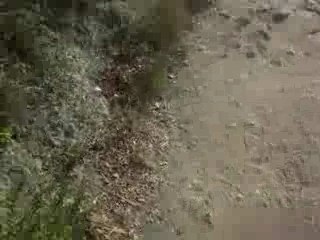 Soiree Plage 28 Aout 2007