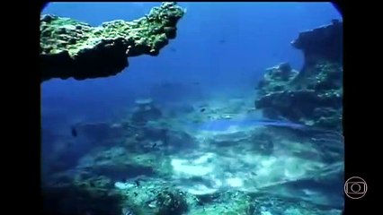 Porto dos Milagres - De Volta no Canal Viva