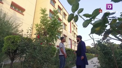 کمره مخفی - چرا دخترهای مردم را آزار میتی؟