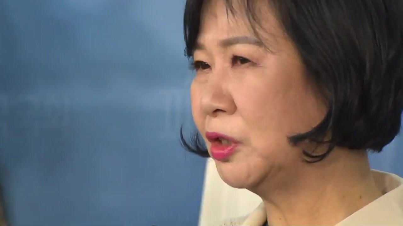 손혜원 목포 기자회견...반전의 빅카드 나오나 / YTN