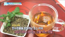 [HEALTHY] What is the identity of the tidal food that cuts off the fat cell?,기분 좋은 날20190123