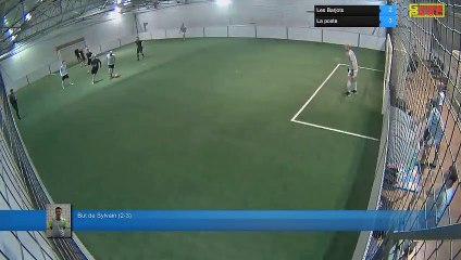 But de Sylvain  (2-3) - Les Barjots Vs La poste - 22/01/19 20:00 - LIGUE 5 - Poitiers Game Parc