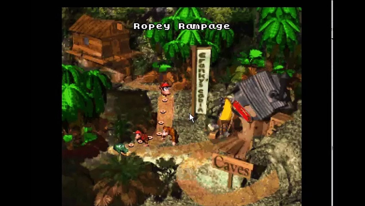 Donkey Kong Country