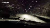 Driver navigates through harrowing blizzard conditions in Scottish Highlands