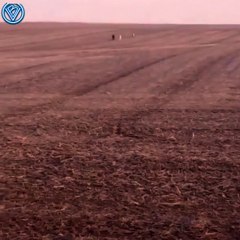 Друзей привел